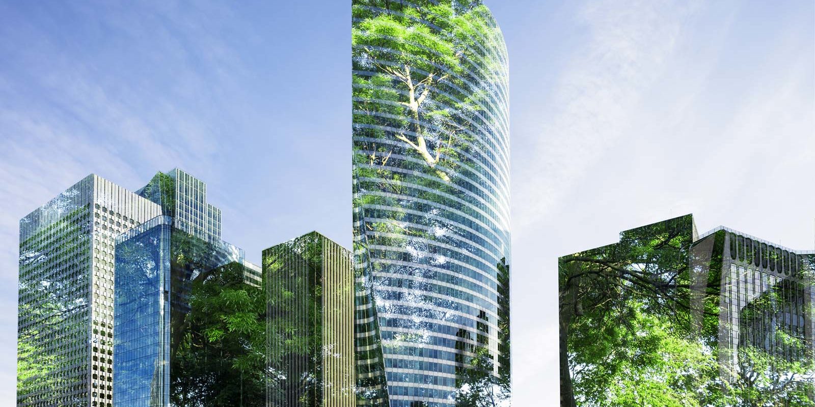 Bâtiments verts transformations positives