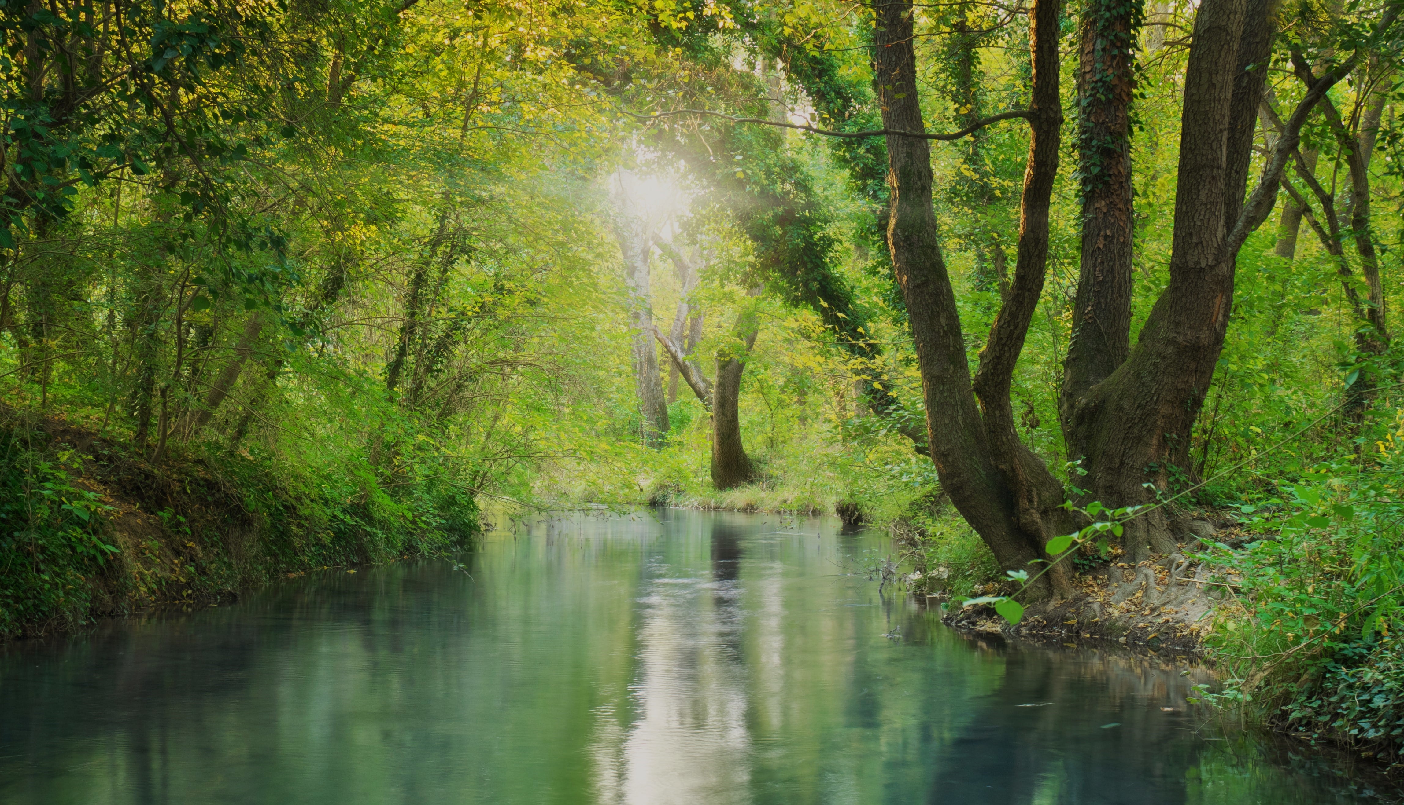 Le vivant a de l'avenir